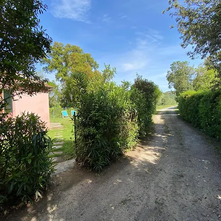 La Casa Rosa * קסטנייטו קרדוצ'י