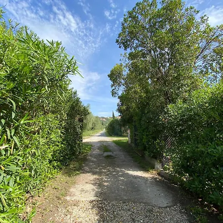 La Casa Rosa Castagneto Carducci